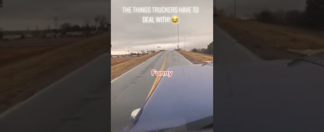 Trucker gets into a FIGHT with his GPS. Who made it say so many bad words? #truckerswisdom