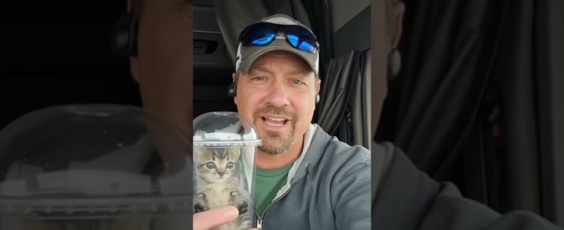 Trucker holds kitten HOSTAGE! His demands will shock you!