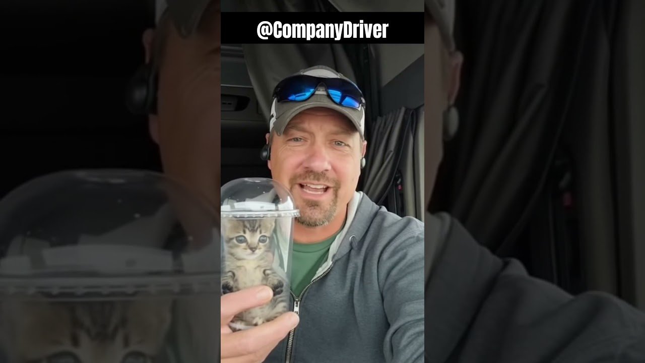Trucker holds kitten HOSTAGE! His demands will shock you!