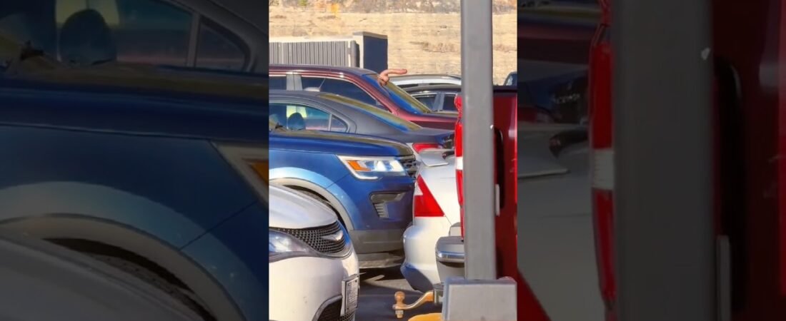 UNICORN SPOTTED AT THE FLYING J TRUCKSTOP!