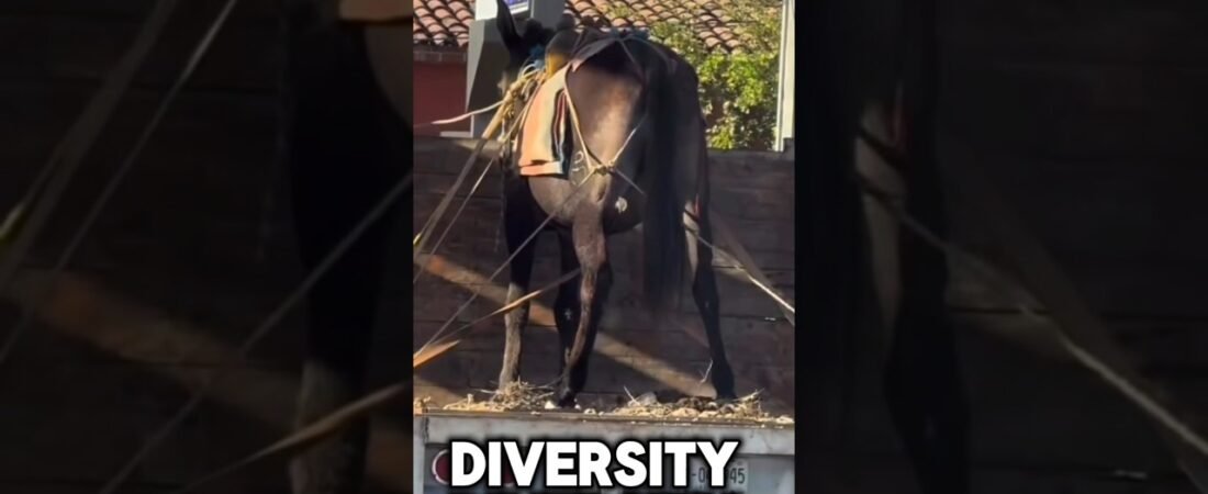WHEN YOU REALIZE DIVERSITY IN TRUCKING IS WHAT MAKES IT SO SUCCESSFUL.