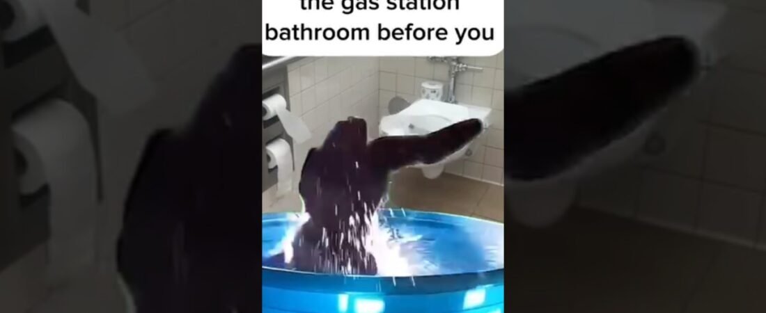 WHO DOES THIS IN THE BATHROOM? WE NEED RULES!