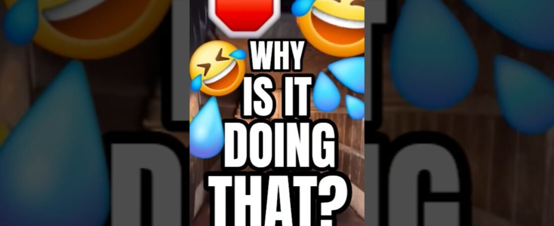 WHY IS IT DOING THAT? MAGIC TRUCKER TRICKS EVERYONE.