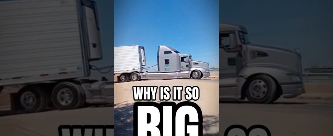 WHY IS IT SO BIG?