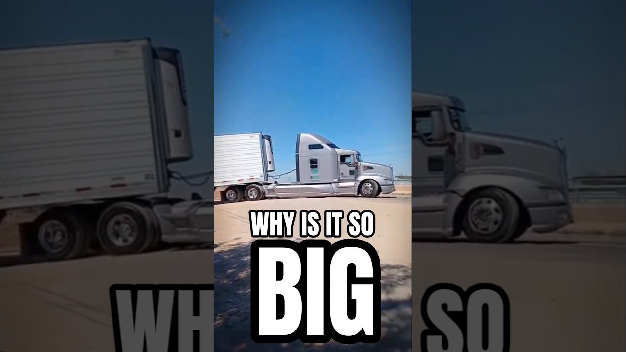 WHY IS IT SO BIG?