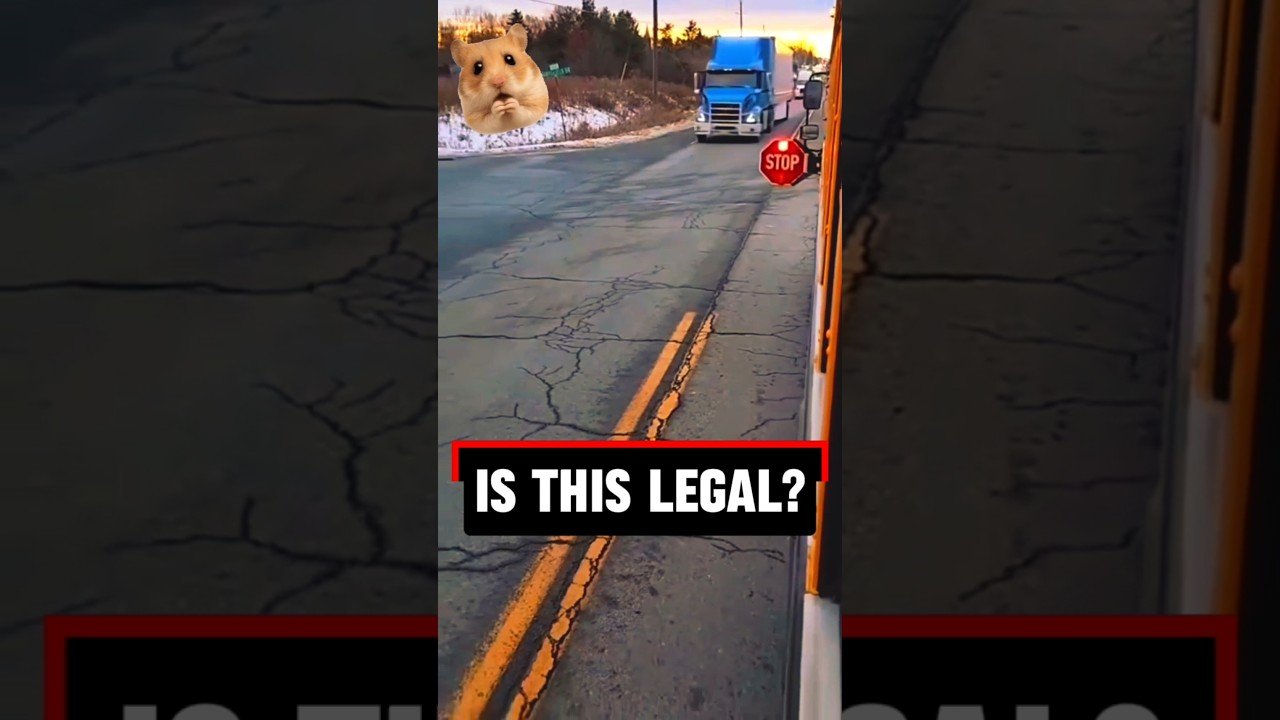WHY IS THIS LEGAL TO DO IN A BIG RIG? WHO MADE THIS RULE?