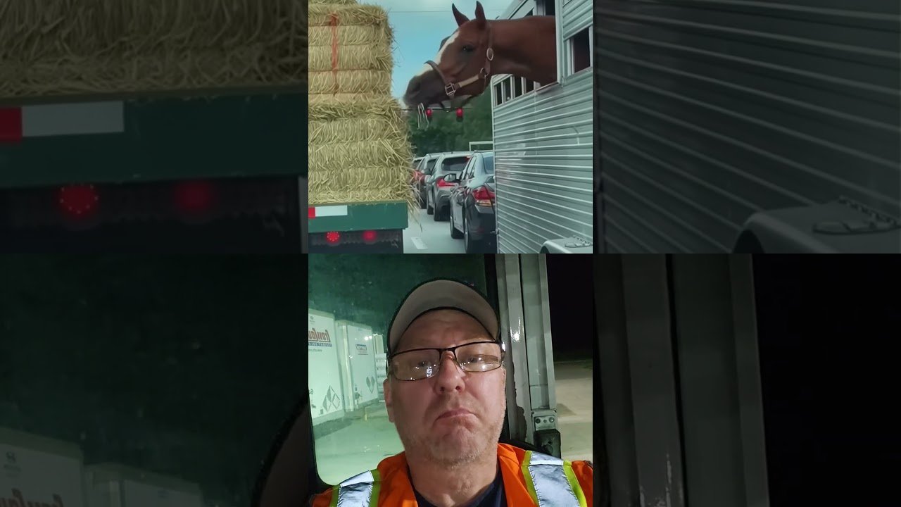 WHY SHOULD TRUCKERS ALWAYS TARP THEIR LOAD?