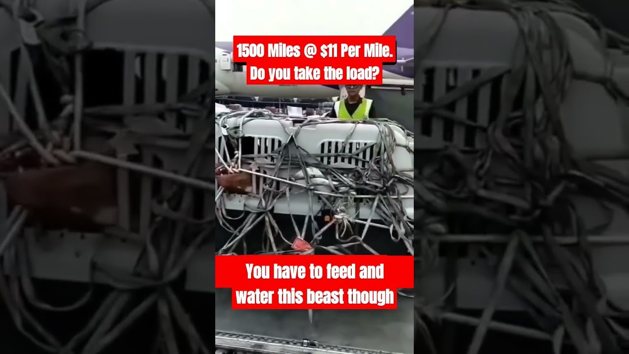 WOULD YOU TAKE THIS LOAD? This load will change your life. Only Real Men Need Apply!