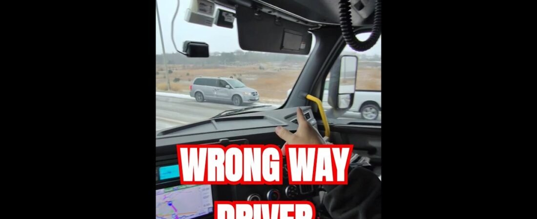 WRONG WAY DRIVER ON THE ICY HIGHWAY! I found the WOMAN responsible for EVERYTHING!