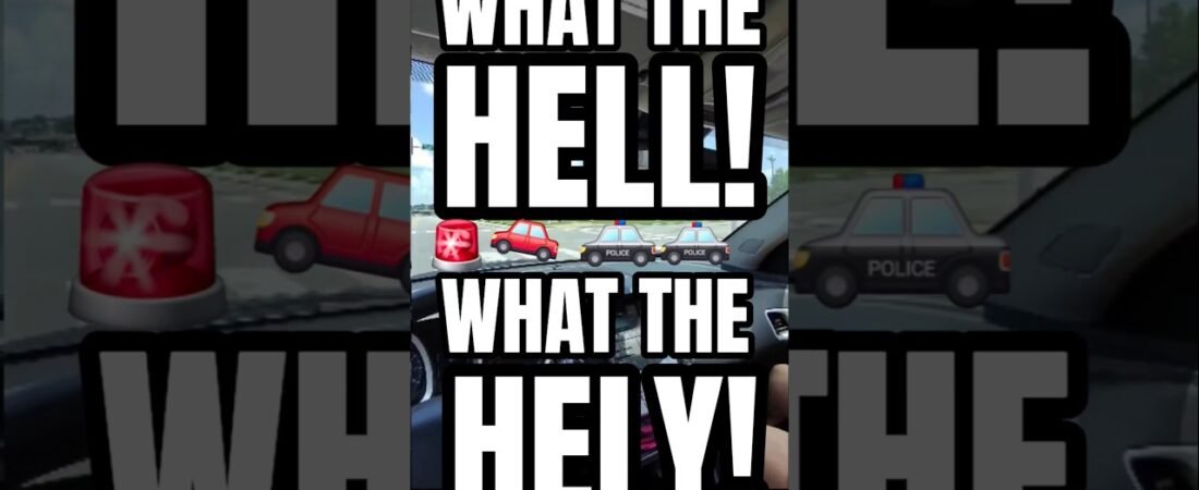 WTHELLY IS GOING ON HERE? High Speed Car Chase though the Park?