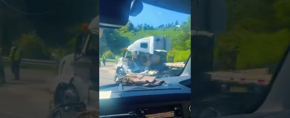What’s the worst that can happen, driver?