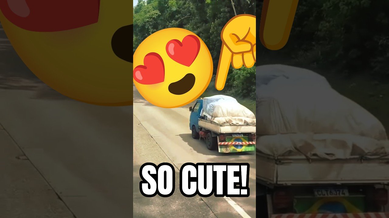 When you don’t need a whole load hauled. This is your Trucker!