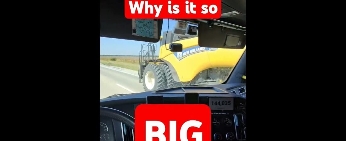 Whis is it so big? This can’t be legal out here. Who wants to tell him?