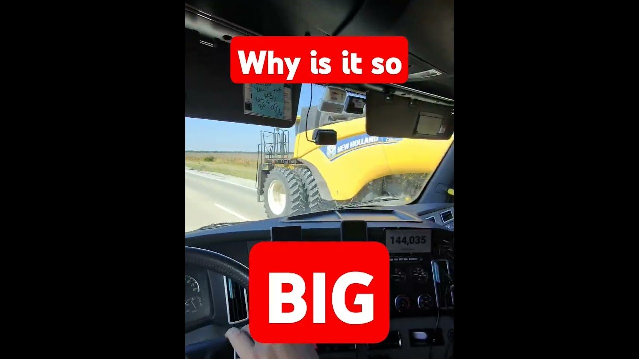 Whis is it so big? This can’t be legal out here. Who wants to tell him?