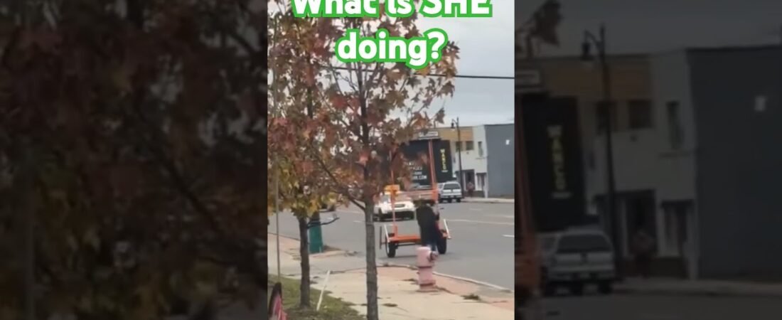 Why SHE did this is a mystery no trucker will ever solve. Someone come pick up their mother!