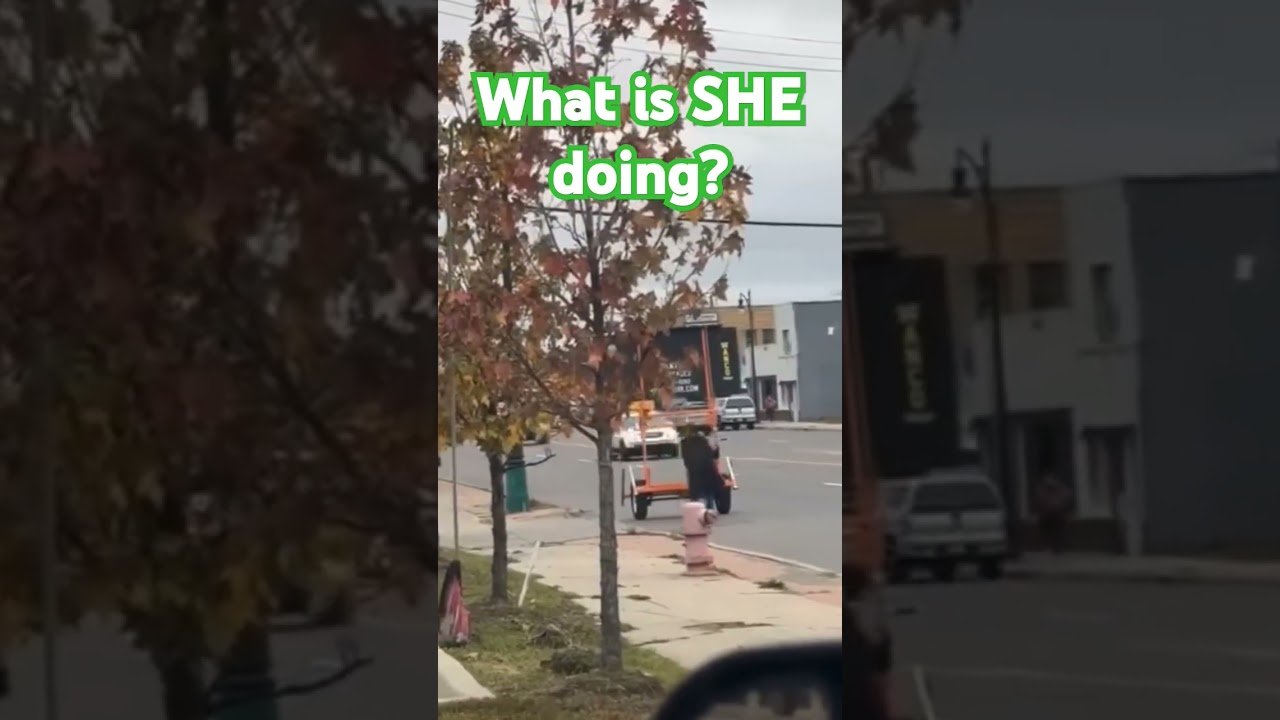 Why SHE did this is a mystery no trucker will ever solve. Someone come pick up their mother!