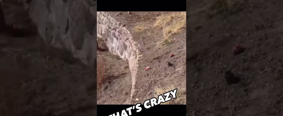 Why did he not use the runaway ramp?? Let this be a lesson to all the new truckers out there.