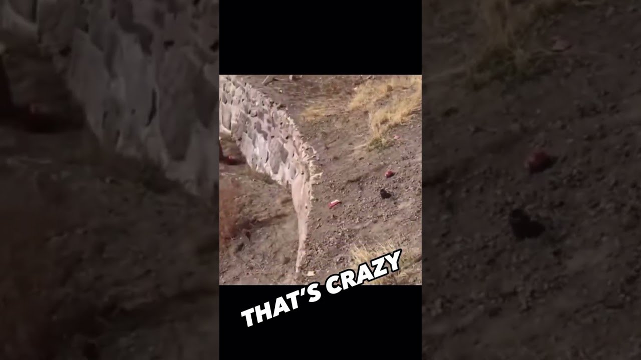 Why did he not use the runaway ramp?? Let this be a lesson to all the new truckers out there.