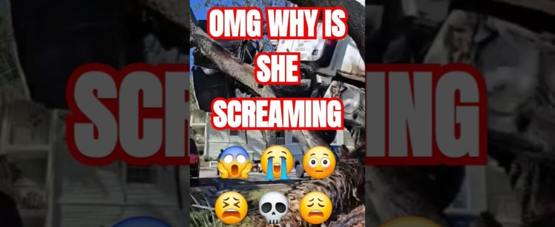 Why do “THEY” scream so much when they are scared? Accidents happen, but this is out of control.