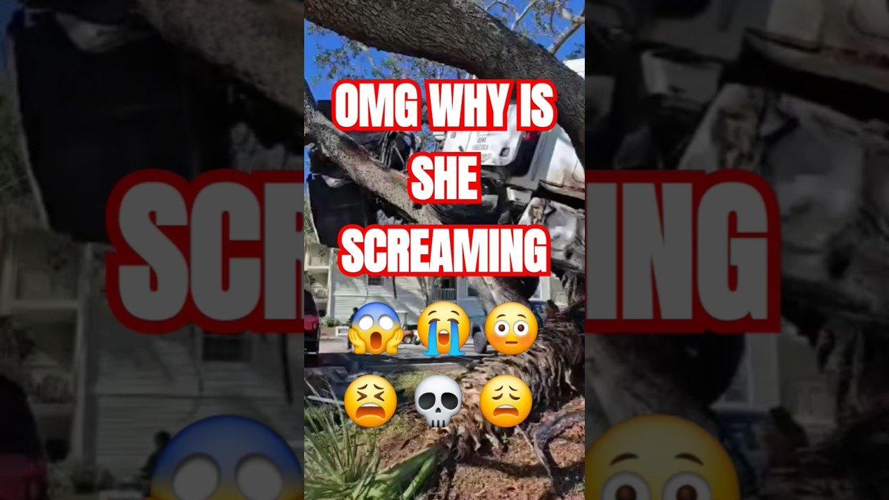 Why do “THEY” scream so much when they are scared? Accidents happen, but this is out of control.