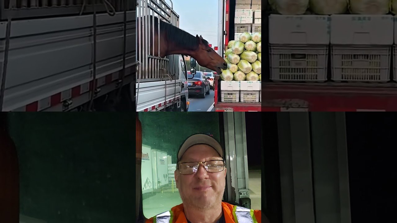 Why do TRUCKERS honk their horns at EVERYTHING?
