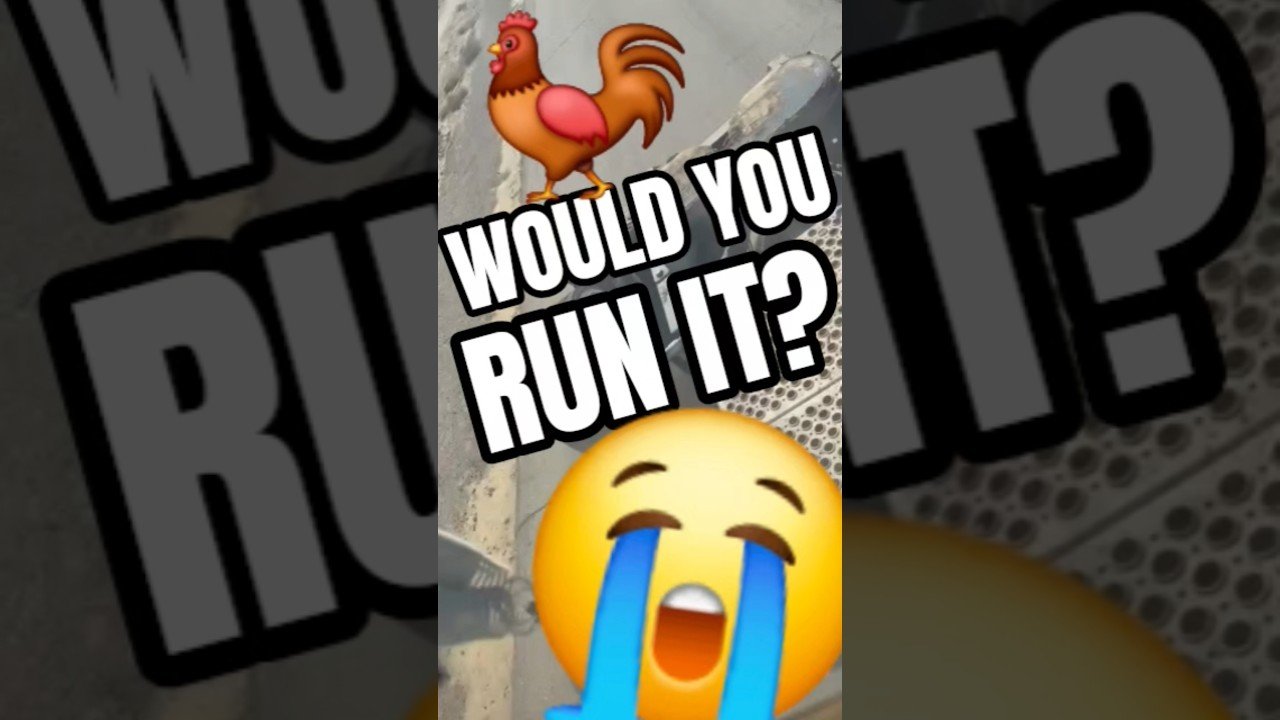 Would you run it, or do you wear flip flops?