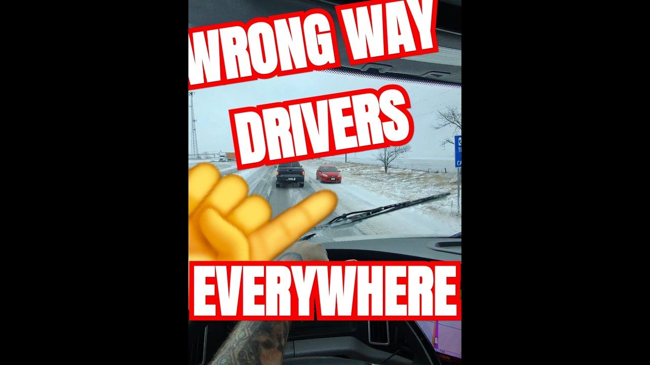 Wrong way drivers everywhere on the highway in massive blizzard panic.