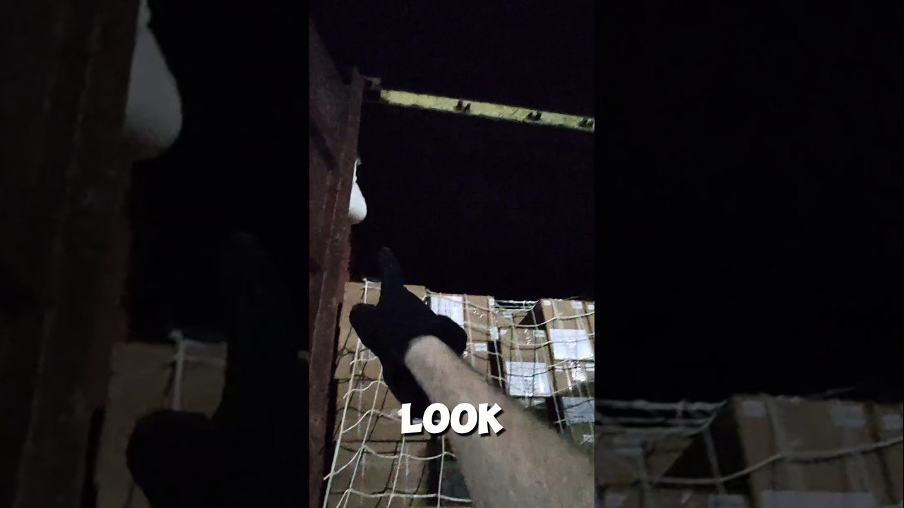 YOU WON’T BELIEVE WHAT I FOUND INSIDE THIS SEMI TRAILER!