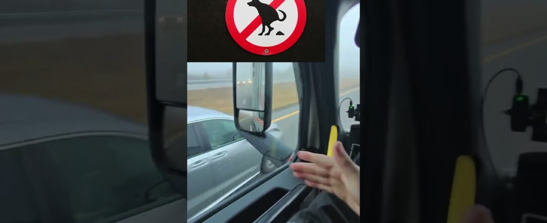 Yellow car of death tries its best to do me harm! #trucktuber #trucker #trucking