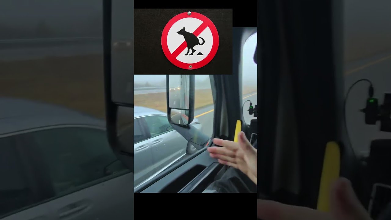 Yellow car of death tries its best to do me harm! #trucktuber #trucker #trucking