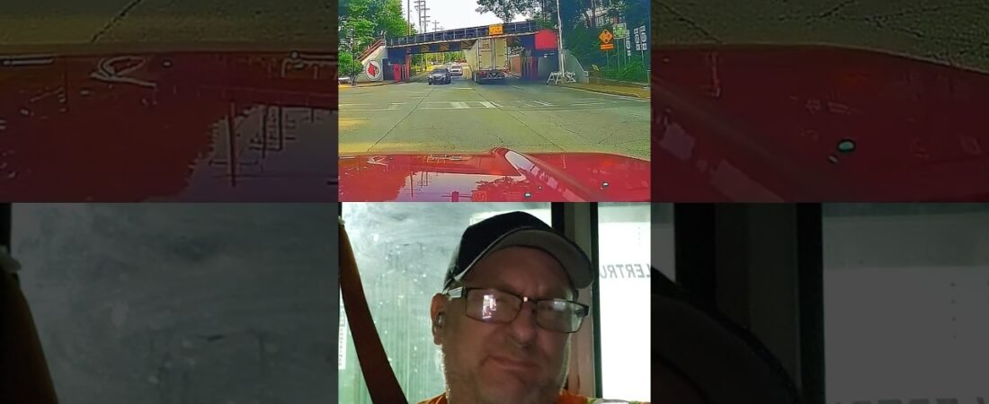 You can’t blame GPS for this, driver! There’s a dang sign!