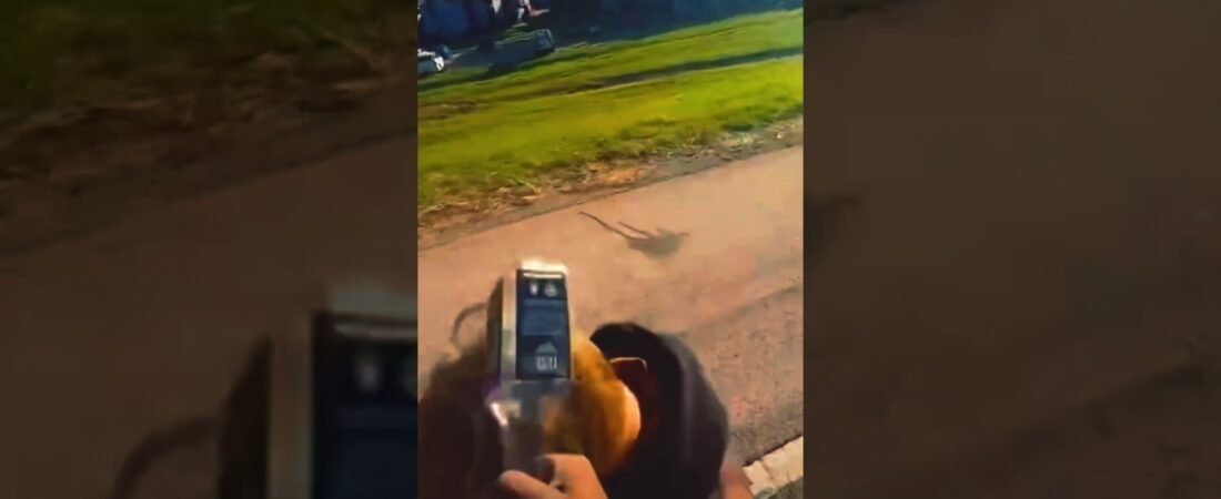 You won’t believe how disrespectful these new truck drivers are.