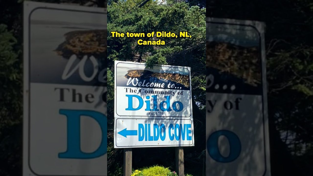 You won’t believe that this place is real. Truckers see it all!