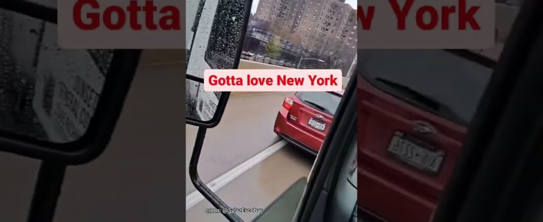 You’re going to love NY even more.aftrr this trucker shows you how to drive there.