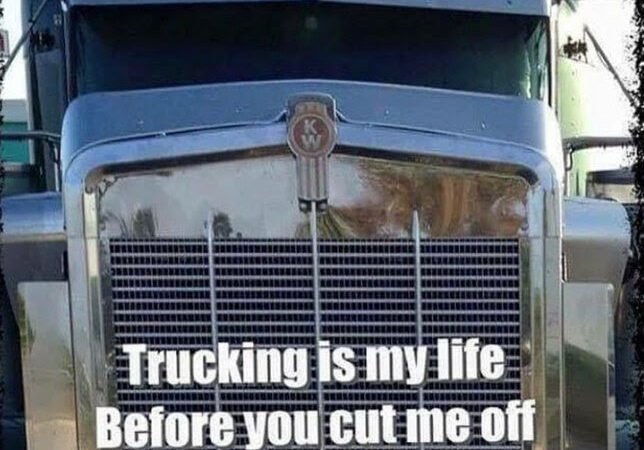 18 wheels, zero patience 🚛💨💢