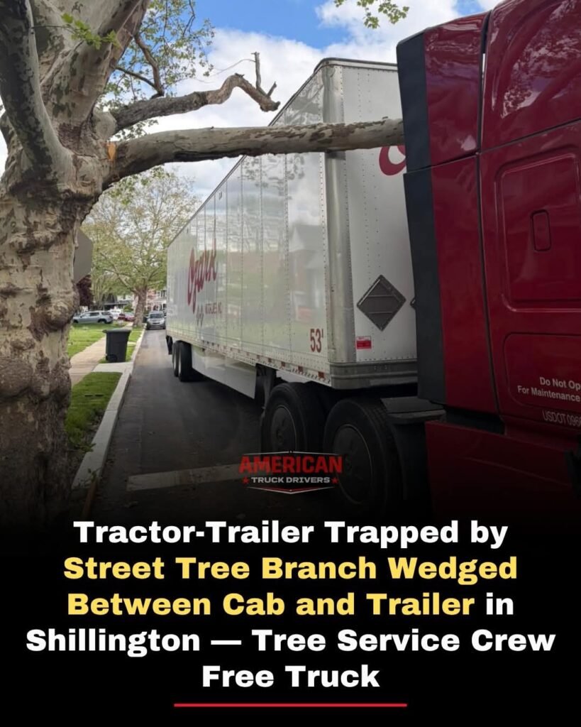 Bruh, Imagine being trapped. Ha ha ha 😂 🤣 😆