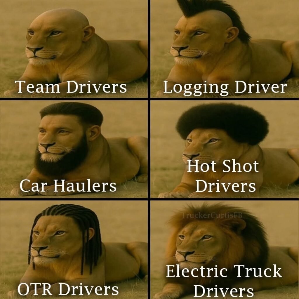 Different types of drivers 😳💪🚛