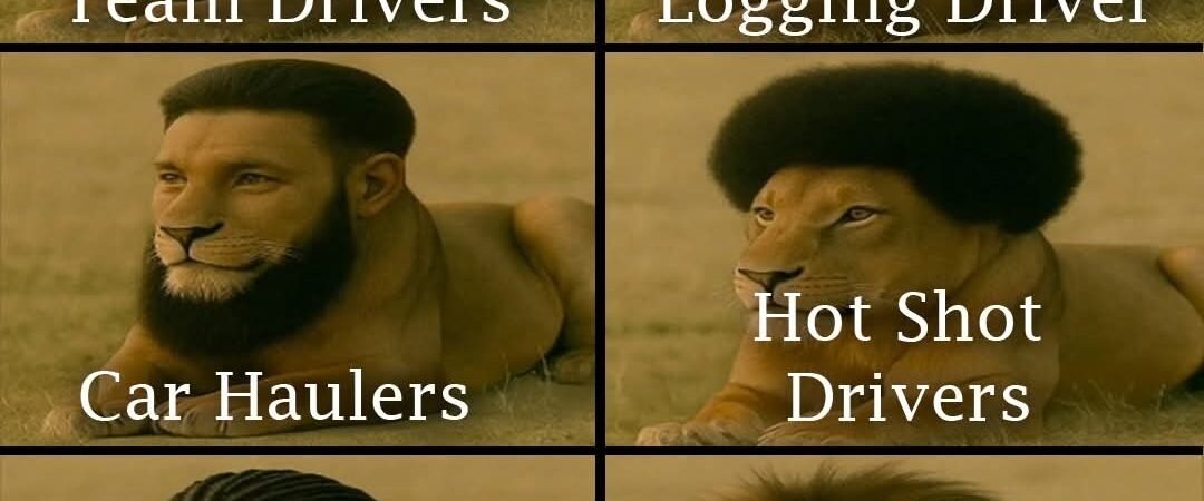 Different types of drivers 😳💪🚛