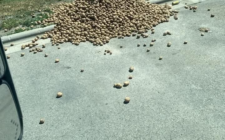 Driver must have forgotten all these potatoes… Think he’ll miss them if I grab a couple for dinner?