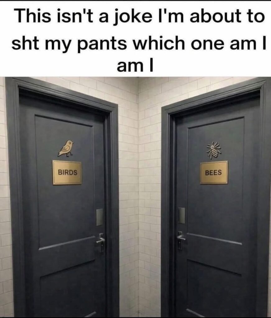 I CAN'T DO THIS!