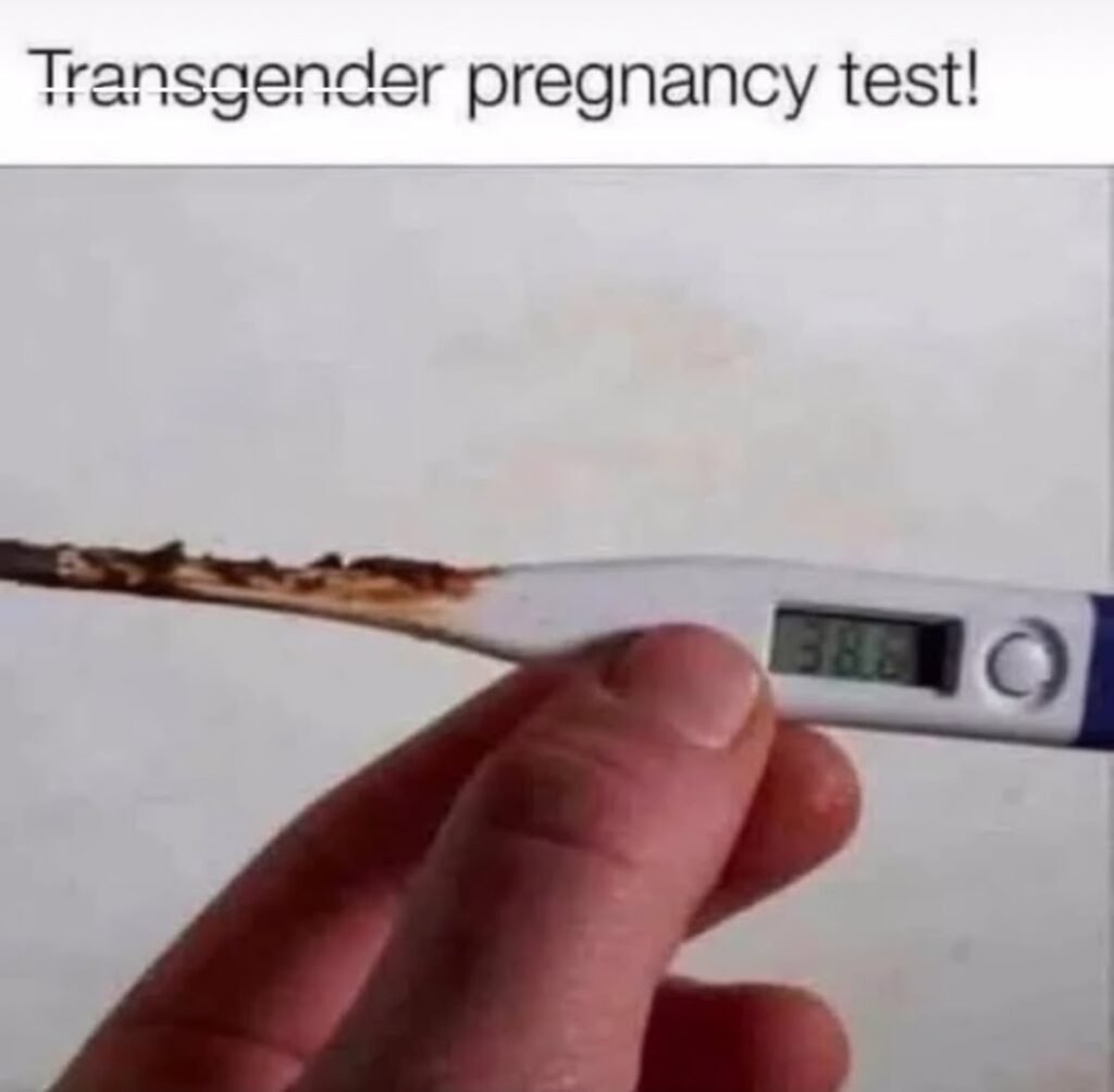 I HAVE SO MANY QUESTIONS!
