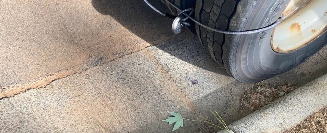 IT HAPPENED! $3,500 PARKING TICKET…… 😞