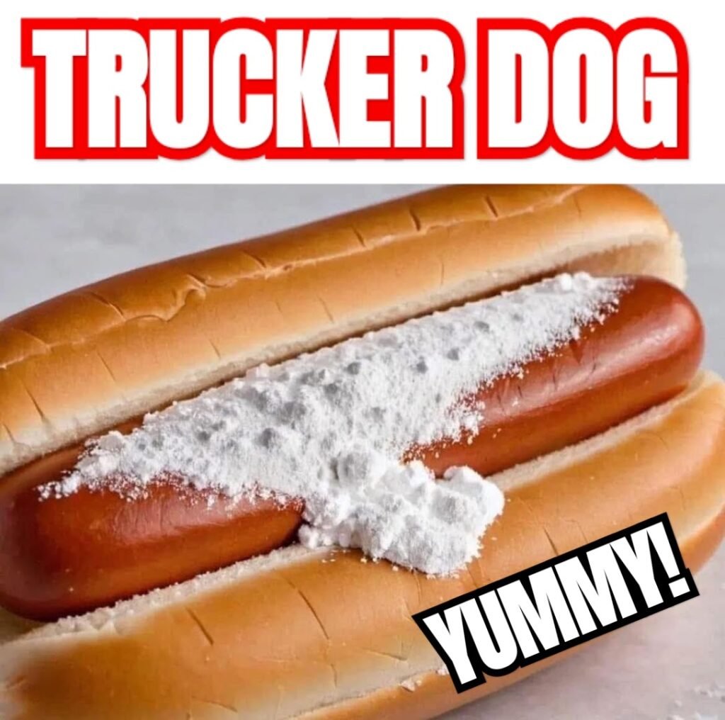 IT'S CALLED THE TRUCKER DOG FOR A REASONS, DRIVER!