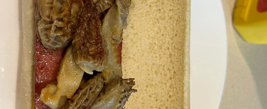 MIDWEST GOURMET….