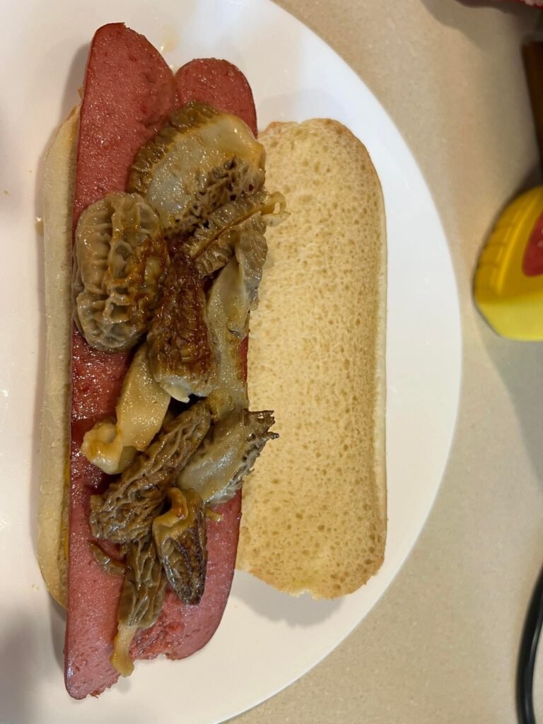 MIDWEST GOURMET....