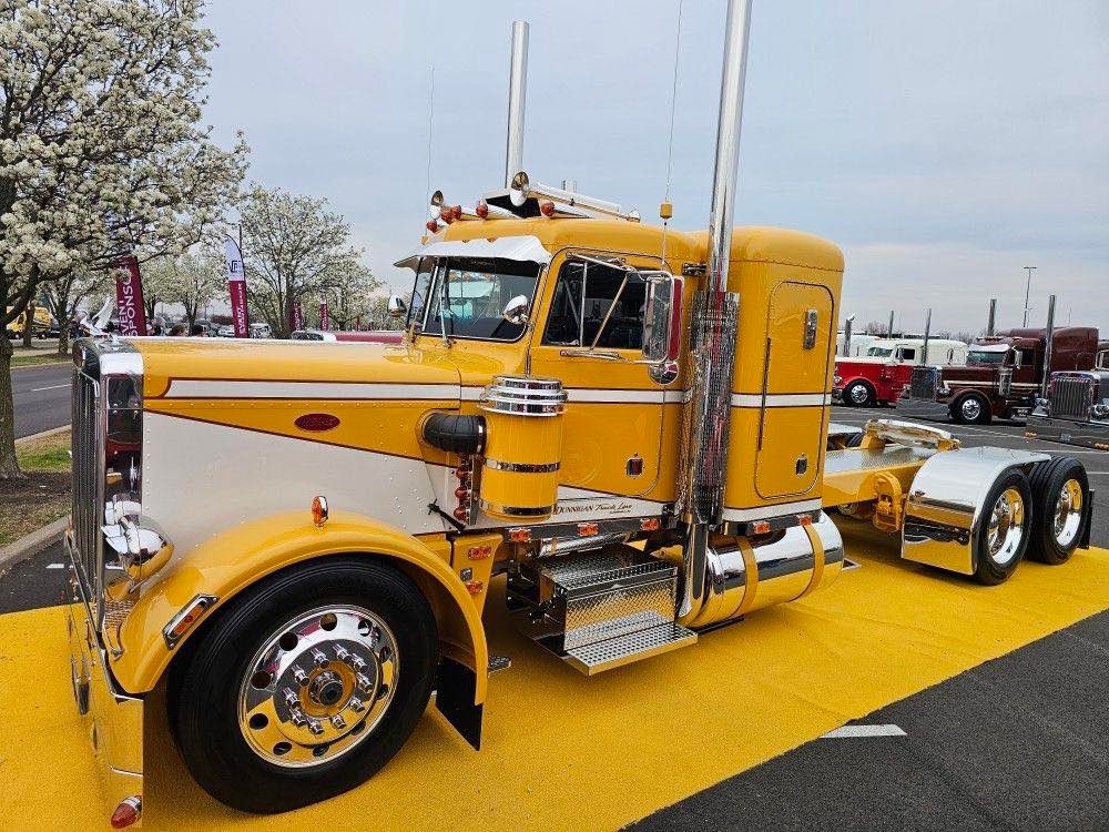 She not a hauler — she's a flexer! 💪🚛💛🔥