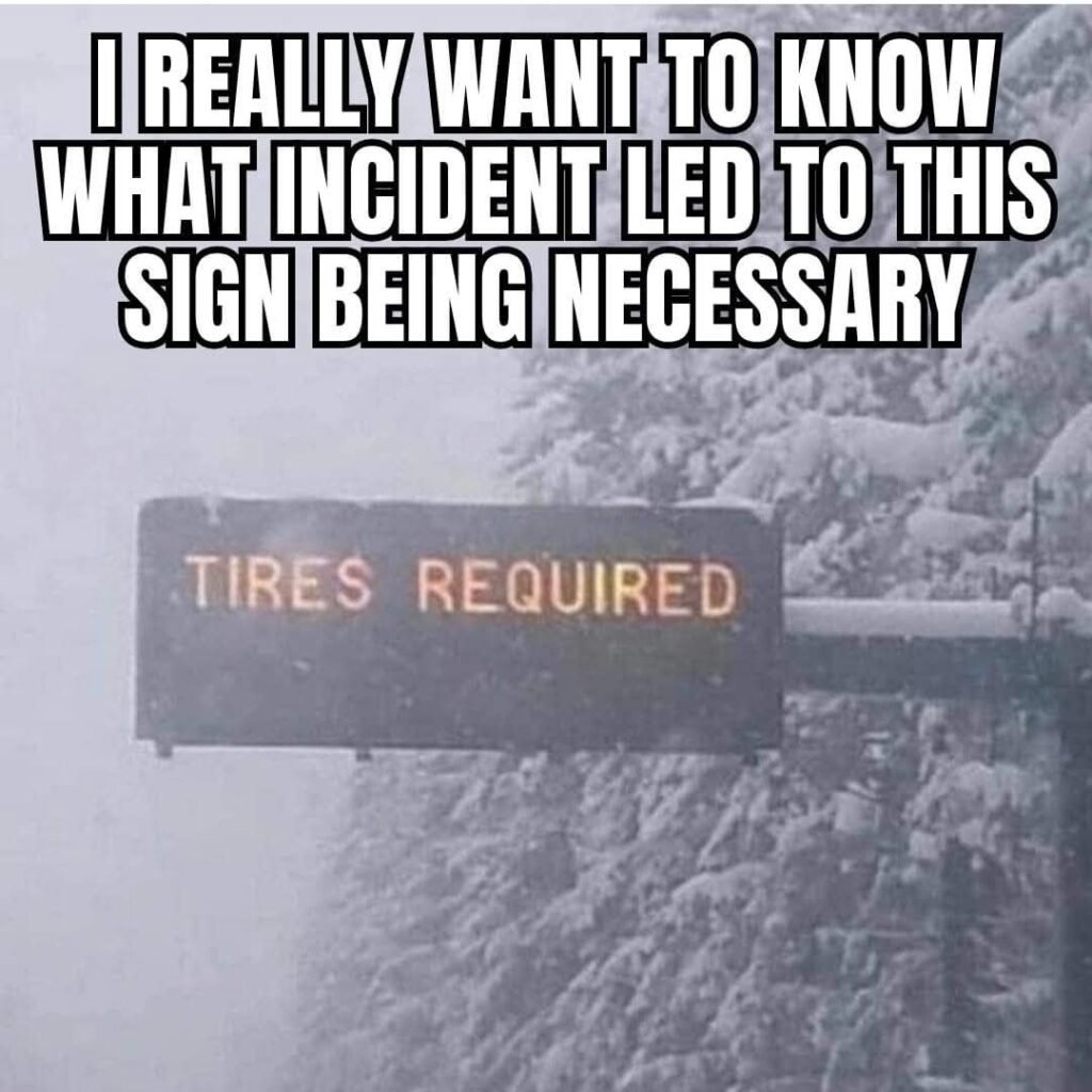 Sled mode engaged! ❄️🚫🛞