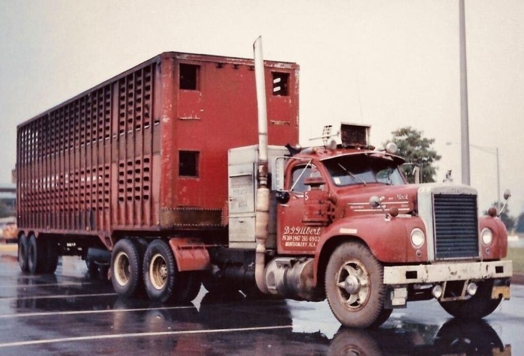 Still haulin' like a boss 💪🏽🔥