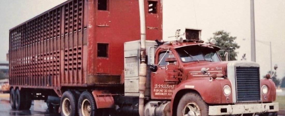 Still haulin’ like a boss 💪🏽🔥