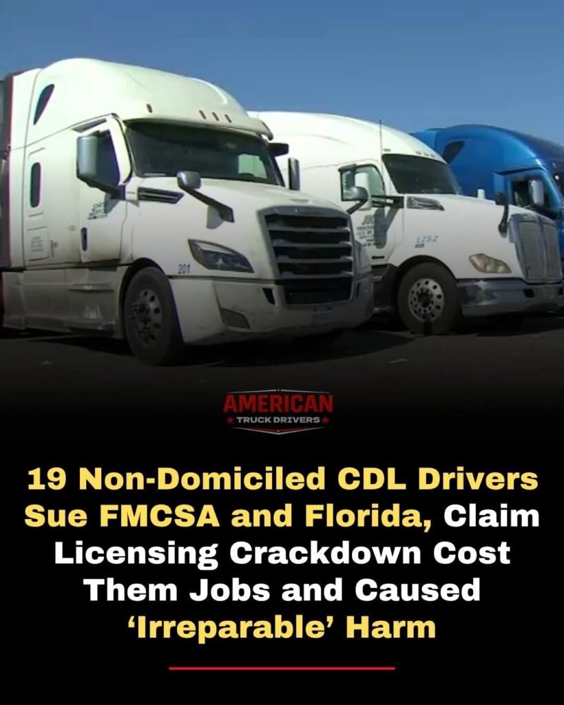 THEY WANT OUR MONEY NOW, DRIVER!